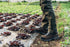 Bota de trabajo Agro O2