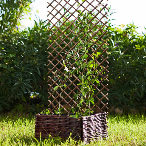 Celosía Extensible de Mimbre Trelliwillow 2021983 1x2 m | Catral | Decoración y Soporte Trepadoras