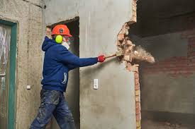 Fase 1: Demolicion y Desescombro
