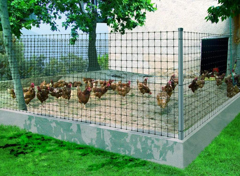 Nortene Jardin Malla avicola Avinet 36 Nortene
