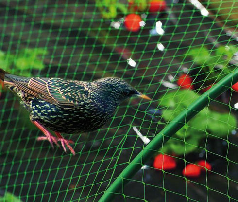 5 m / 2 m Nortene Malla antipajaros Birdnet